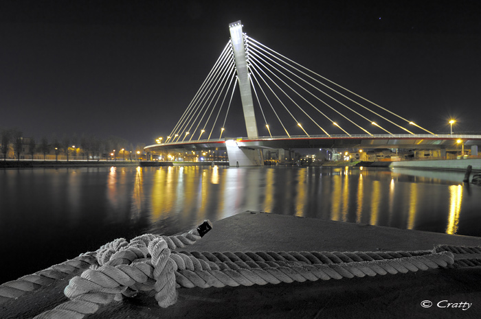 Copyright Stefano Maselli